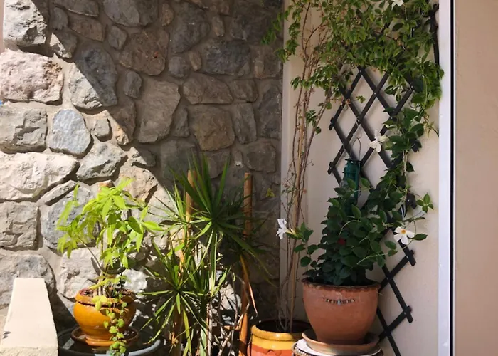 Appartamento Plein Sud Cassis